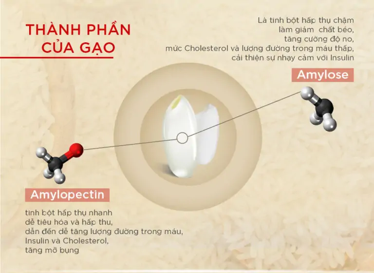 nồi cơm tách đường loại nào tốt